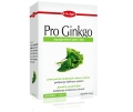 Pro Ginko 