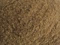 moučka